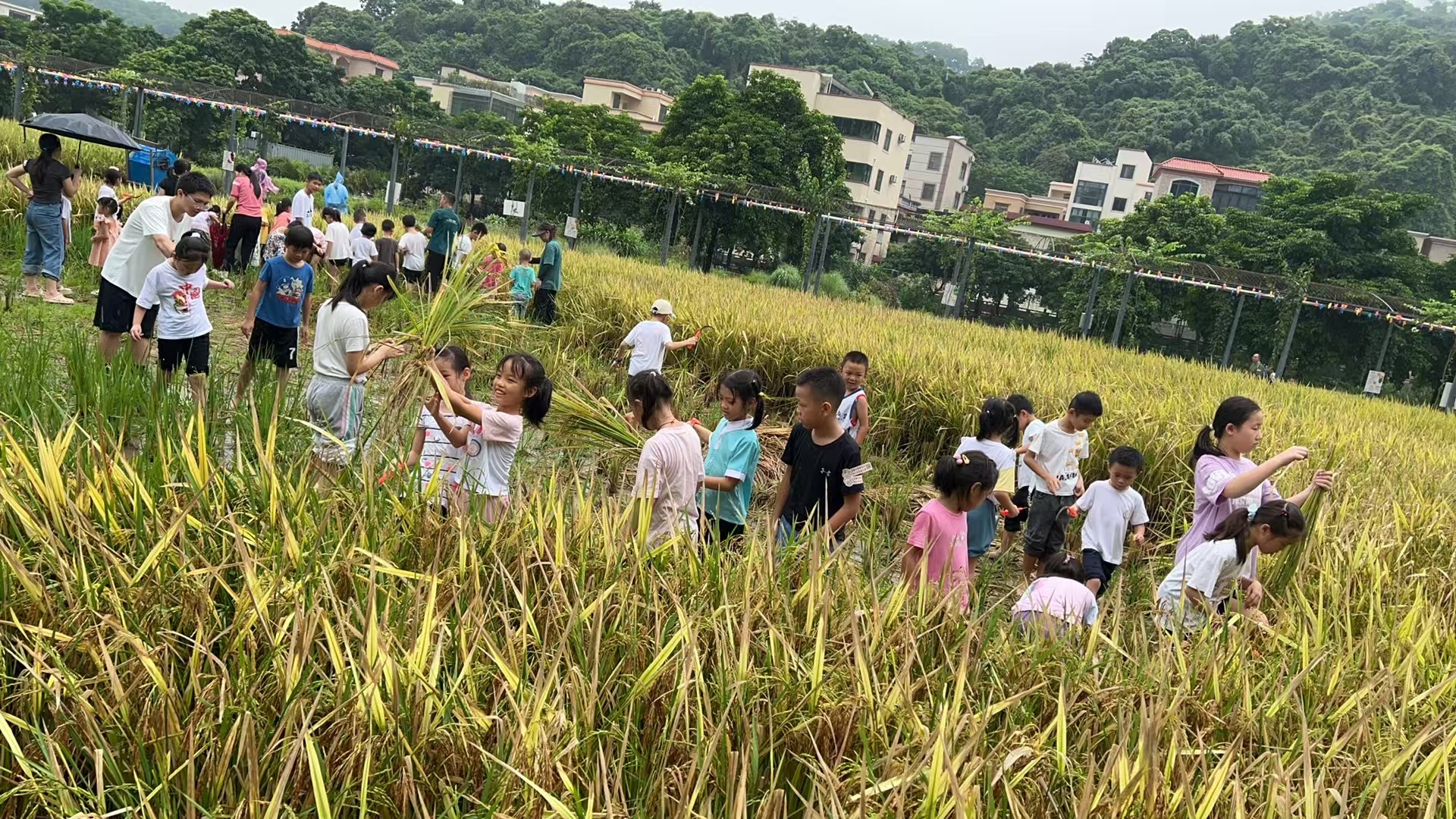 2024 Wistron Zhongshan Plant First "Happy Summer Vacation Childcare Program"