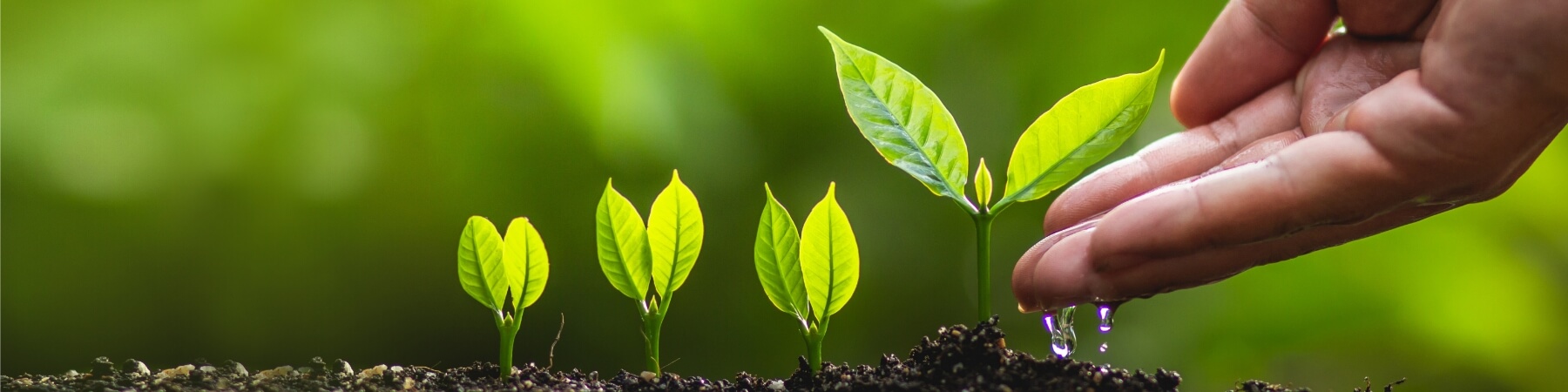 Sustainability